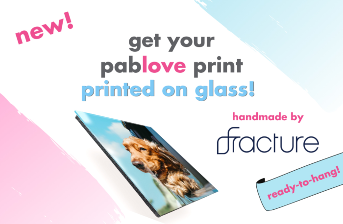 New! Get any pablove print printed on glass! handmade by Fracture, ready to hang